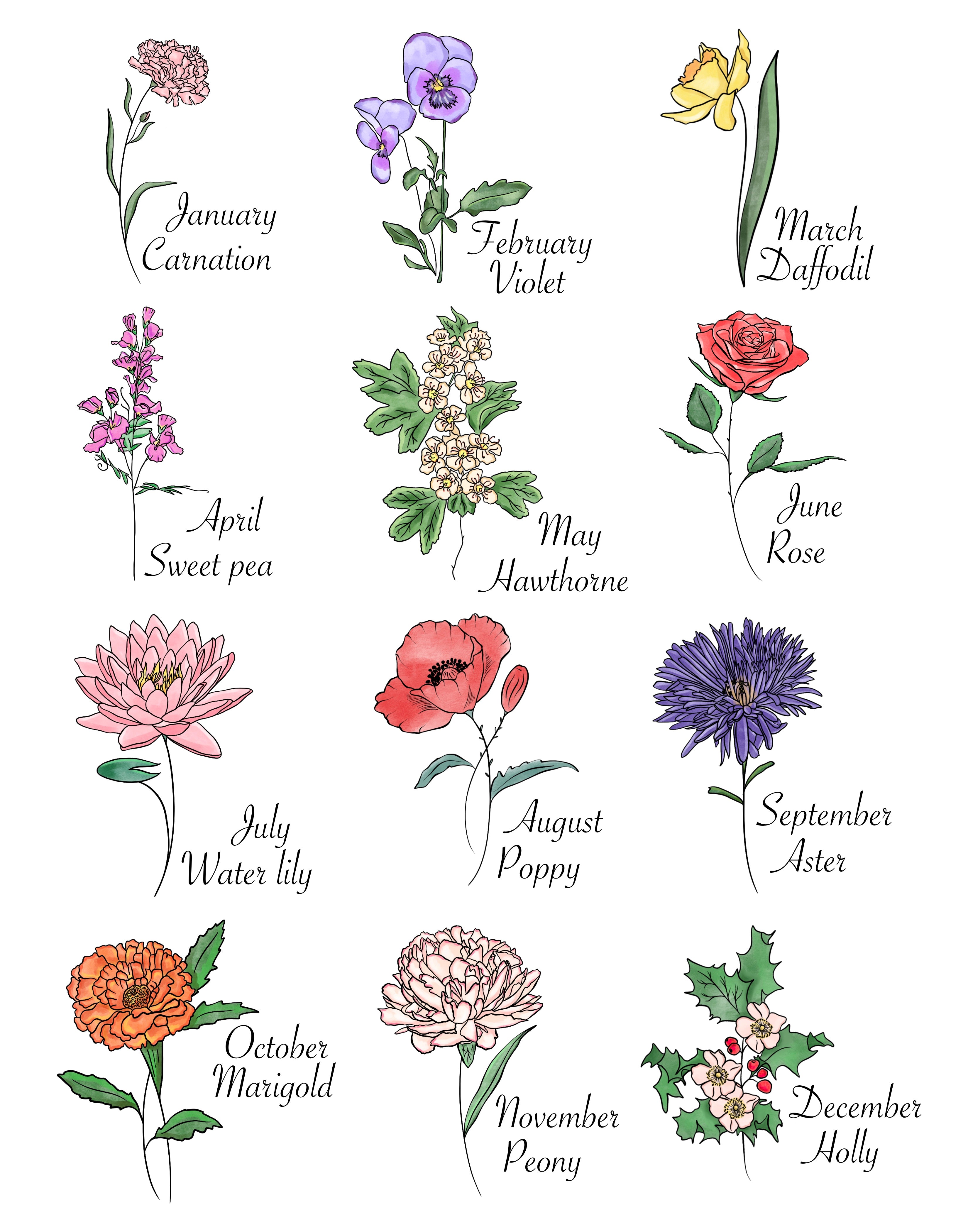 Birth Month Flowers